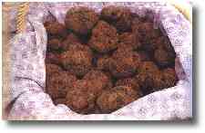 Des truffes noires au march de Lalbenque...